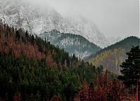 Zakopane - plener grup dziennych Warszawskiej Szkoły Reklamy. 22-26 X 2018 r. Fot. Gabriela Lubowicka