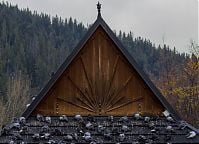 Zakopane - plener grup dziennych Warszawskiej Szkoły Reklamy. 22-26 X 2018 r. Fot. Gabriela Lubowicka